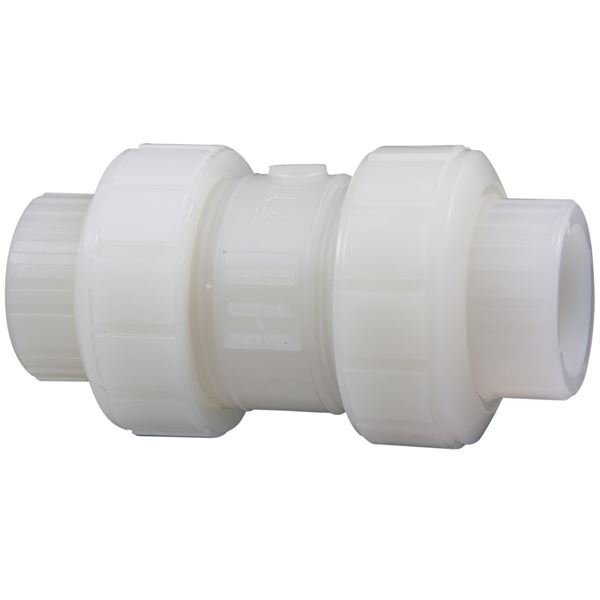 PVDF Ball Check Valve